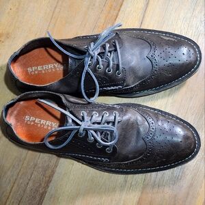 SPERRY Leather TOP SIDER Dark Gray Wingtip Oxfords Taupe Shoes Mens 10.5